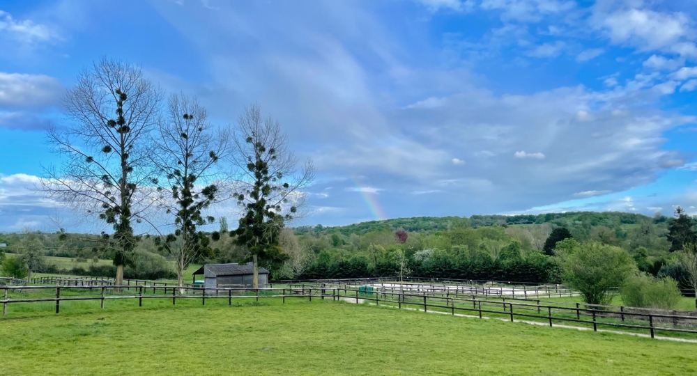 Le Haras de Blancastel, labellisé EquuRES