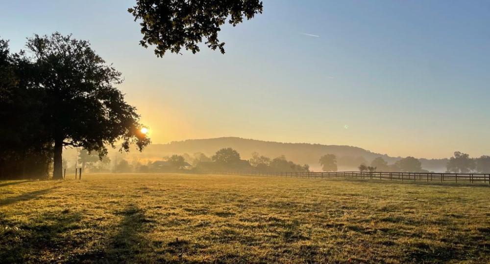 L'élevage Hestia Farm, dans le Calvados, se labellise EquuRES à l'échelon Engagement