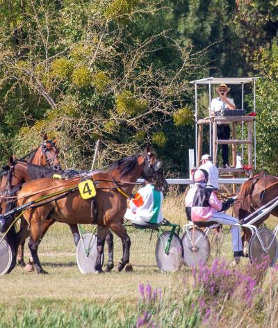 L'Hippodrome de Châteauroux, dans l'Indre, labellisé EquuRES !