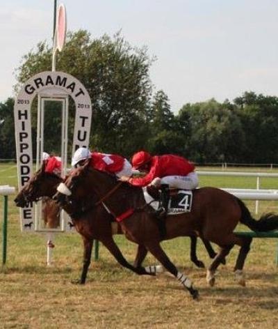 L'hippodrome de Gramat, dans le Lot, labellisé EquuRES