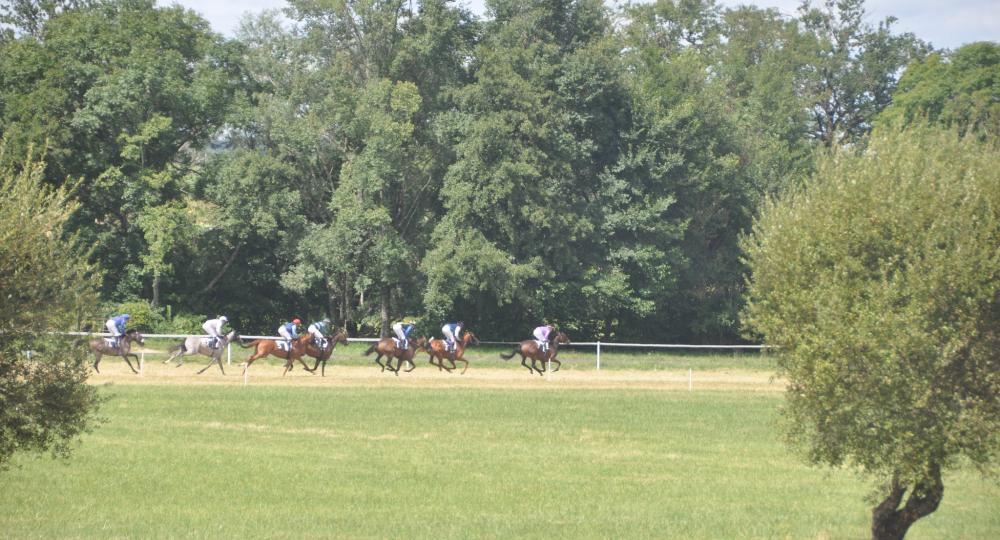 L'hippodrome de Gramat, dans le Lot, labellisé EquuRES