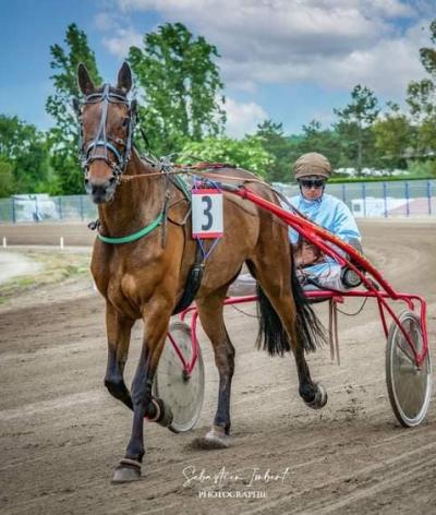 L'hippodrome de Grenade se labellise EquuRES à l'échelon engagement