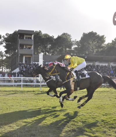 L'hippodrome de Saumur s'engage pour l'environnement et le bien-être animal