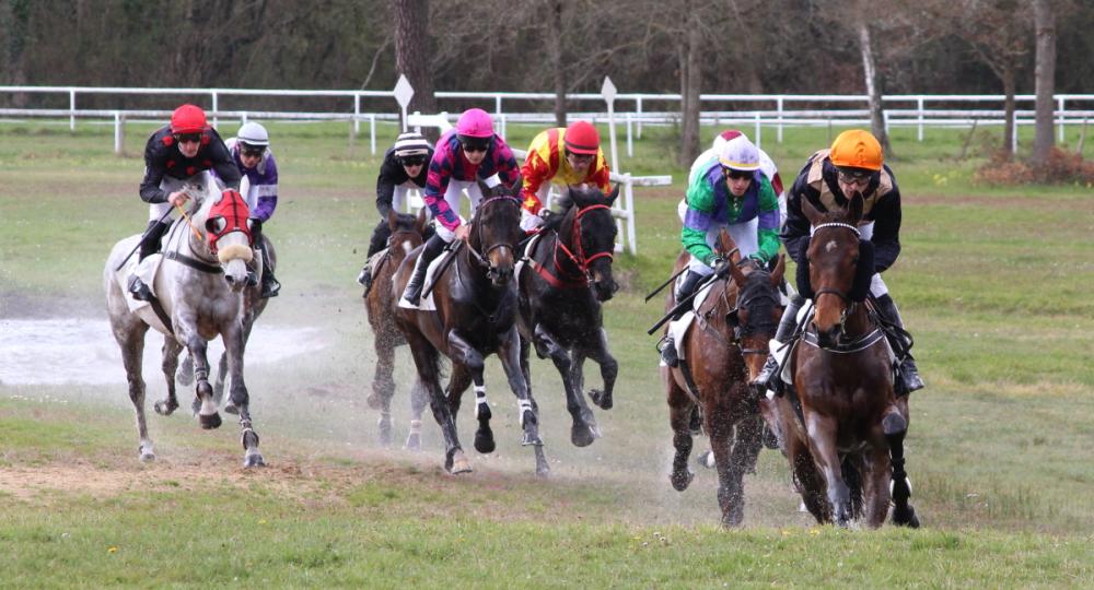 L'hippodrome de Saumur s'engage pour l'environnement et le bien-être animal