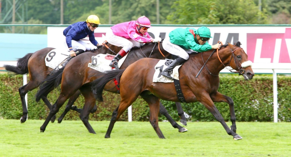 L'hippodrome de Saint Cloud labellisé EquuRES à l'échelon progression