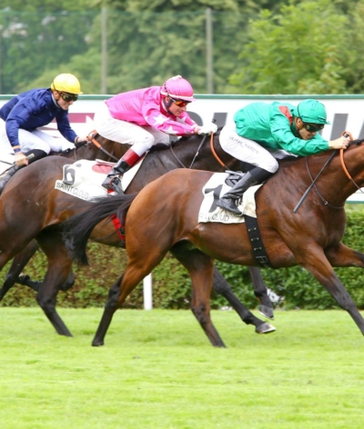 L'hippodrome de Saint Cloud labellisé EquuRES à l'échelon progression