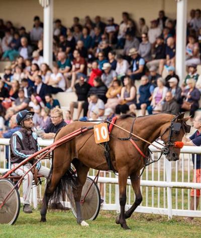 L'hippodrome de Thouars, dans les Deux-Sèvres, labellisé EquuRES !