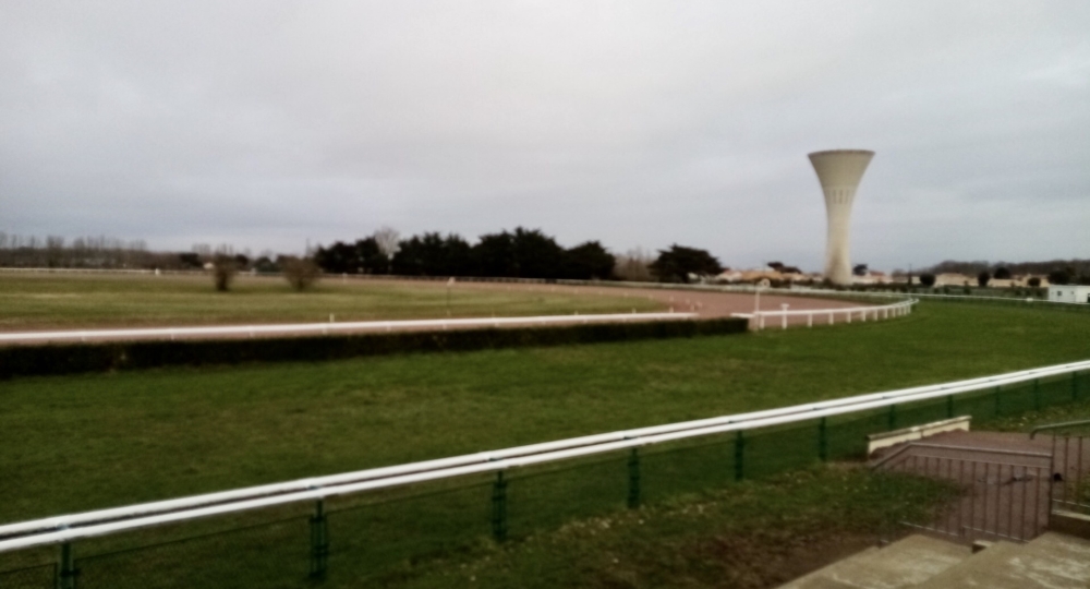 L'Hippodrome de Machecoul, en Loire-Atlantique, s'engage en faveur du bien-être et de l'environnement !