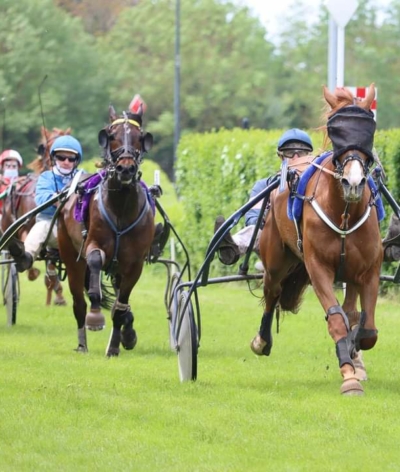 L'Hippodrome d'Orléans s'engage en faveur du bien-être et de l'environnement !