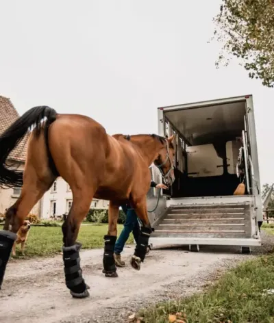Je dois transporter mon cheval : comment reconnaître un professionnel et le trouver ?