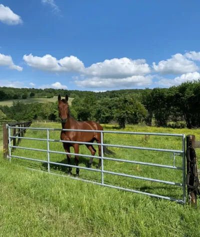 Le Haras de Belzo, dans l'Orne, renouvelle sa labellisation EquuRES
