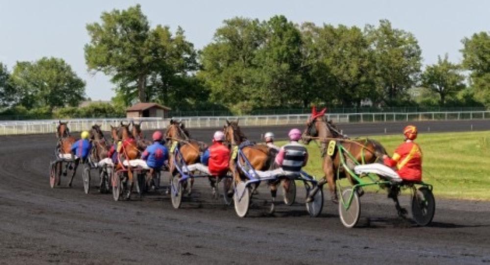 L'hippodrome de la Bretonnière s'engage pour le bien-être équin et l'environnement en se labellisant EquuRES