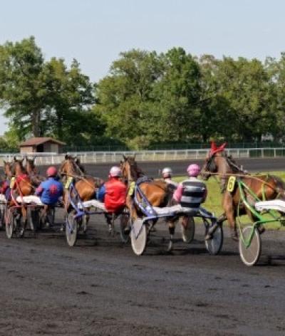 L'hippodrome de la Bretonnière s'engage pour le bien-être équin et l'environnement en se labellisant EquuRES