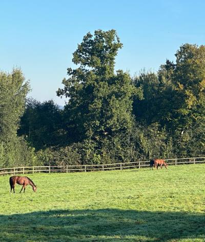 Le Haras de Beauvallon, dans le Calvados, obtient sa labellisation EquuRES !