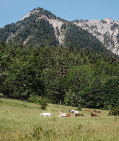 Les Chevaux d'Edoras, au cœur du Vercors, s'engage pour le bien-être animal et l'environnement grâce à sa labellisation EquuRES échelon Progression !