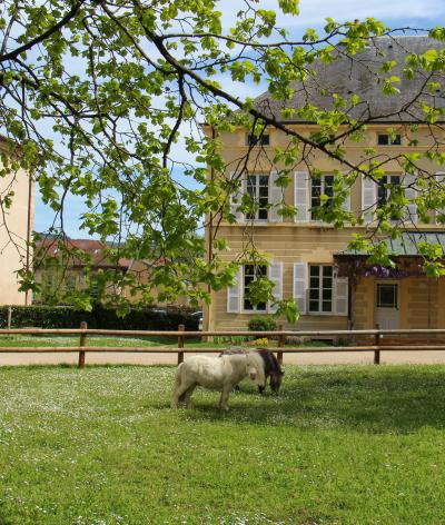 Le Haras national de Cluny, situé en Saône-et-Loire, obtient sa labellisation EquuRES à l'échelon Engagement !