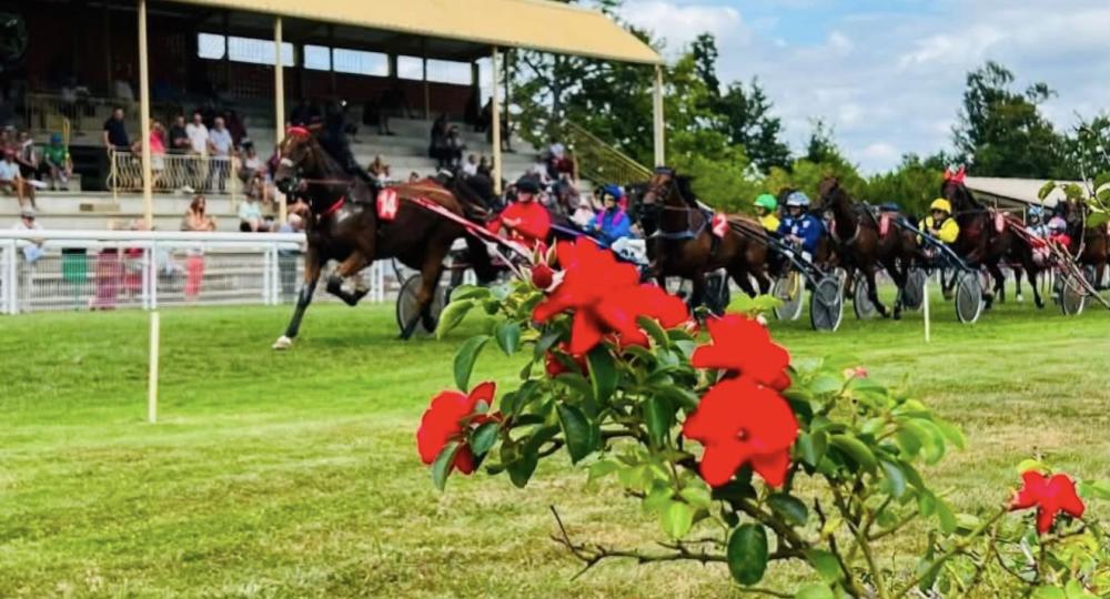 L'hippodrome d'Eauze, situé dans le Gers, renouvelle la labellisation EquuRES