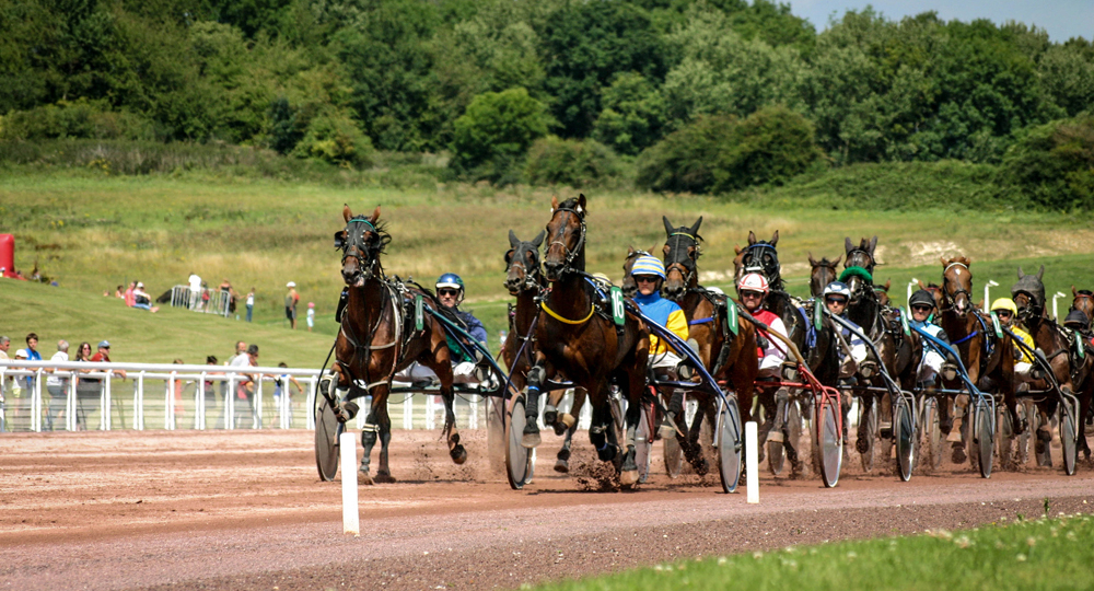 L'Hippodrome de Mauquenchy renouvelle sa labellisation EquuRES