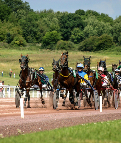 L'Hippodrome de Mauquenchy renouvelle sa labellisation EquuRES