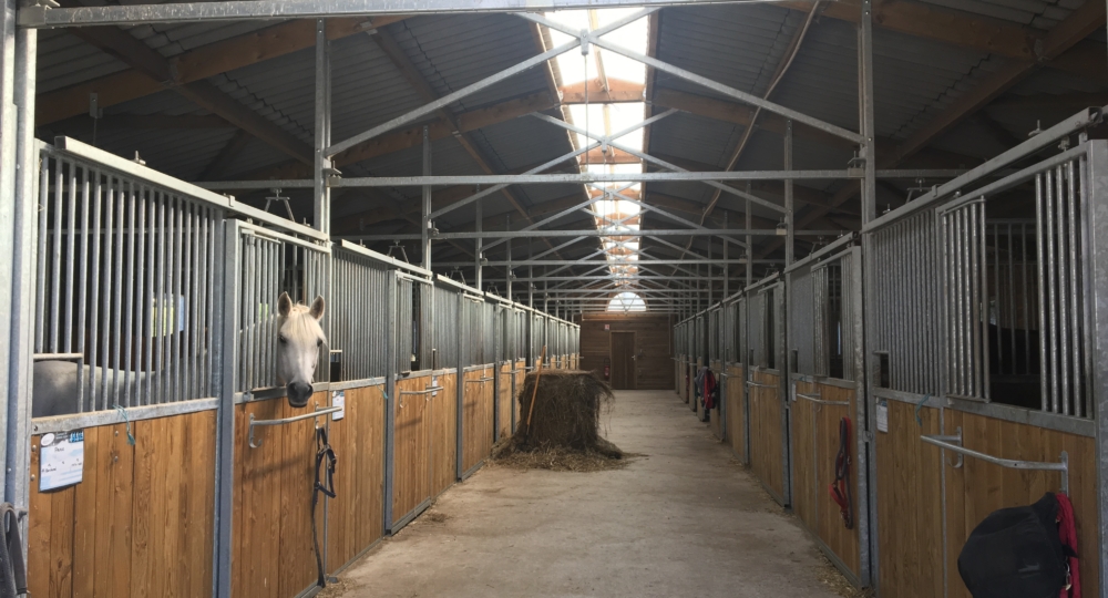 Quelle ambiance dans les lieux de vie des chevaux en intérieur ?