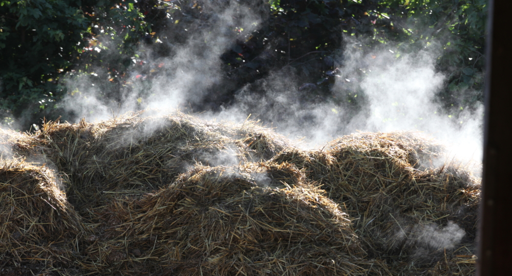 Le compostage, une solution pour valoriser le fumier