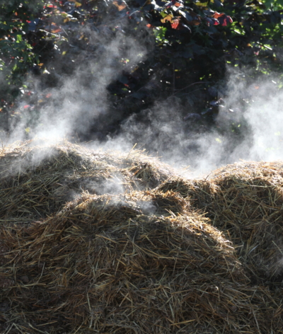 Le compostage, une solution pour valoriser le fumier