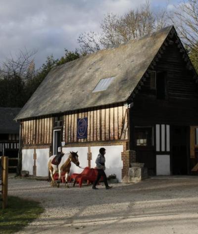 Le centre équestre de la Morelle, dans l'Eure, s'engage pour le bien-être animal et l'environnement se labellisant EquuRES