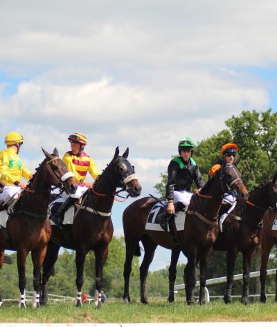 L'hippodrome de Segré en Anjou s'engage pour le bien-être animal et l'environnement avec EquuRES