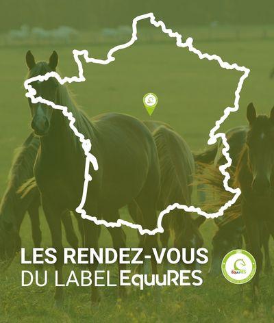 EquuRES aux Championnats de France Club et Poney : deux journées dédiées au bien-être animal à Lamotte-Beuvron