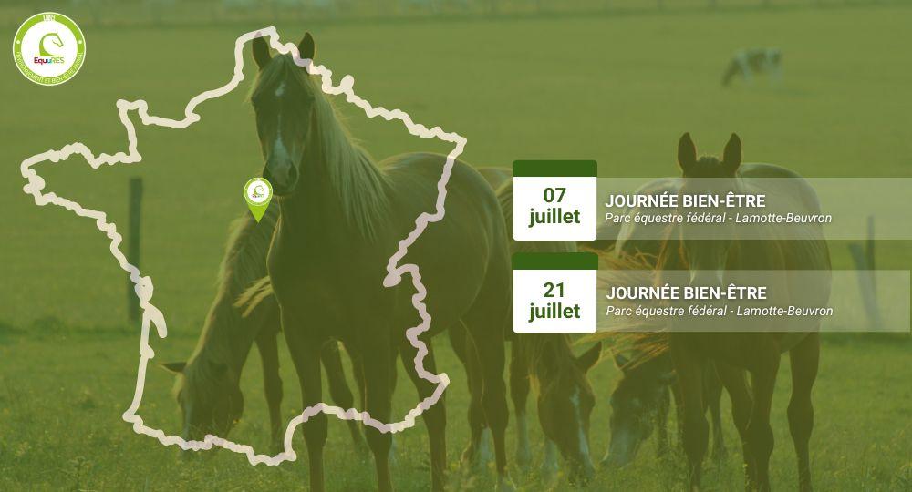 EquuRES aux Championnats de France Club et Poney : deux journées dédiées au bien-être animal à Lamotte-Beuvron