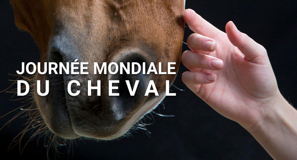 Journée mondiale du cheval