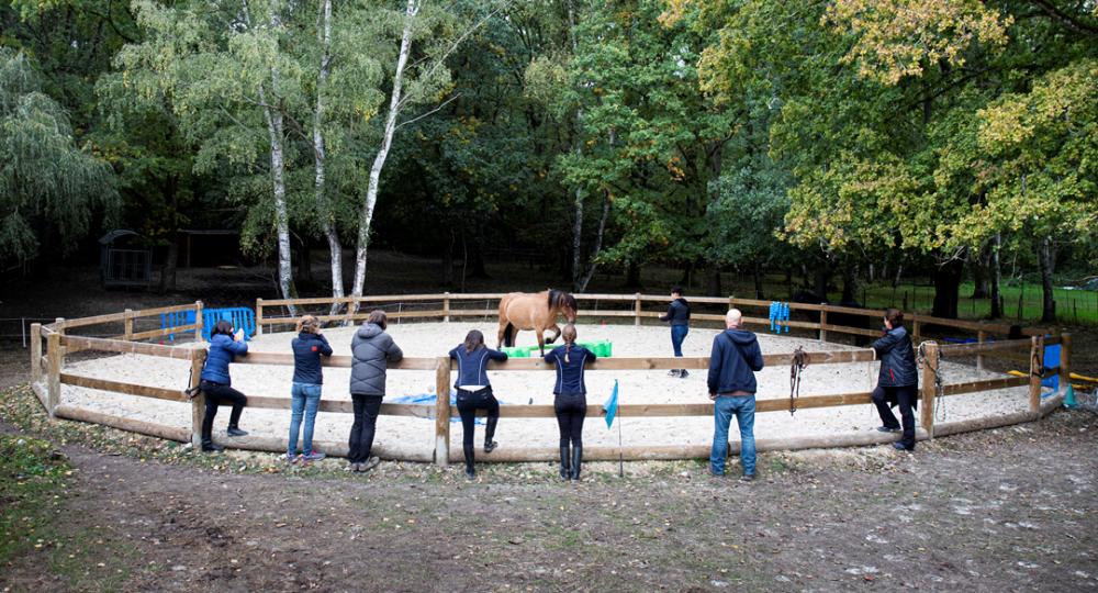 L'écurie Espri d'Equi, en Île-de-France, renouvelle sa labellisation EquuRES !