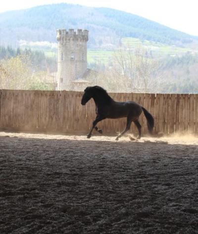 Le Centre Équestre Le Vergier, en Ardèche, renouvelle sa labellisation EquuRES à l’échelon Progression !