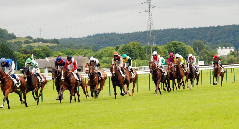 L'Hippodrome de Dieppe, labellisé EquuRES au niveau Progression dès l'évaluation initiale !