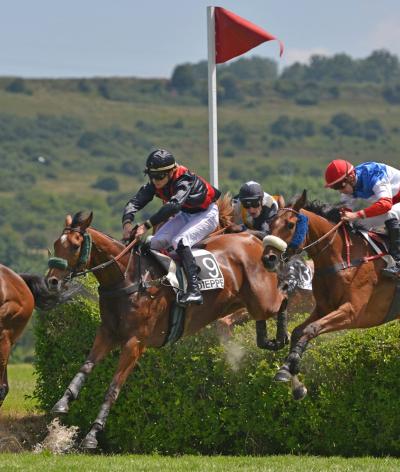 L'Hippodrome de Dieppe, labellisé EquuRES au niveau Progression dès l'évaluation initiale !