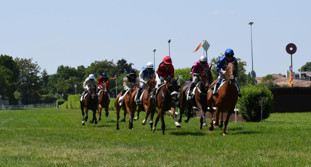 L'Hippodrome d'Orléans renouvelle ses engagements pour le bien-être animal et l'environnement !