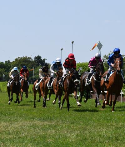 L'Hippodrome d'Orléans renouvelle ses engagements pour le bien-être animal et l'environnement !