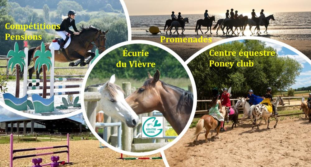 L'écurie du Vièvre, dans l'Eure, labellisée EquuRES à l'échelon Engagement !