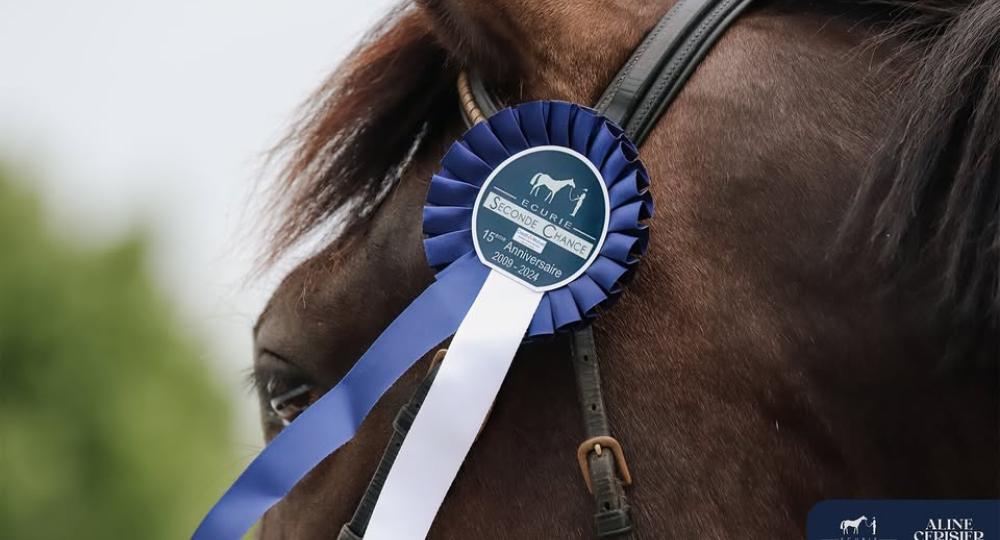 L'EARL Sylvain Martin Equine, dans le Maine-et-Loire, obtient la labellisation EquuRES Bien-être animal et environnement !