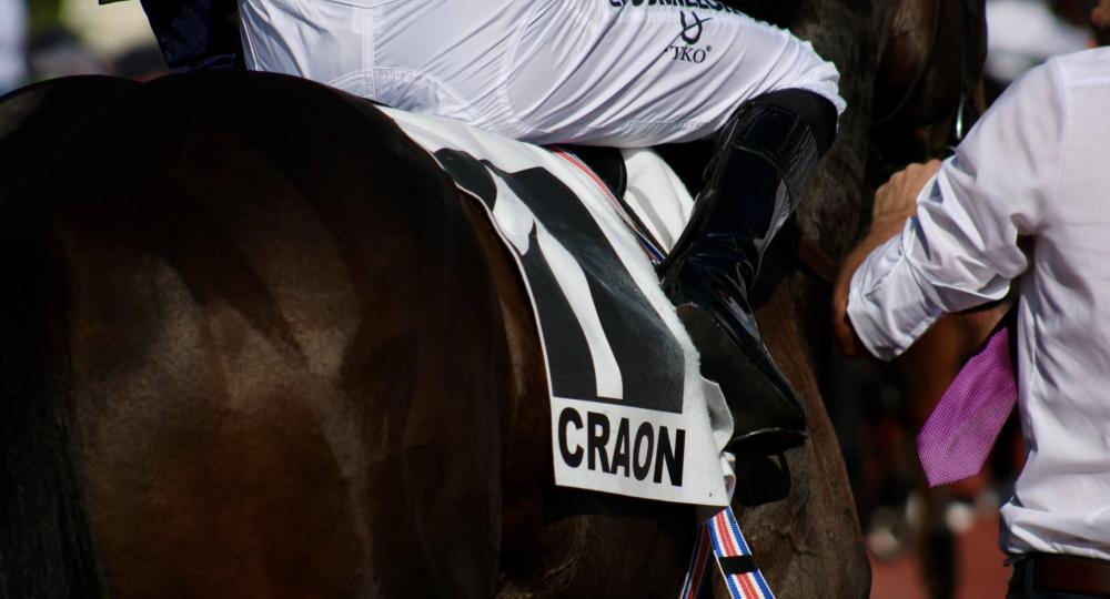 L'Hippodrome de Craon, en Mayenne, atteint le niveau Progression de la labellisation EquuRES !