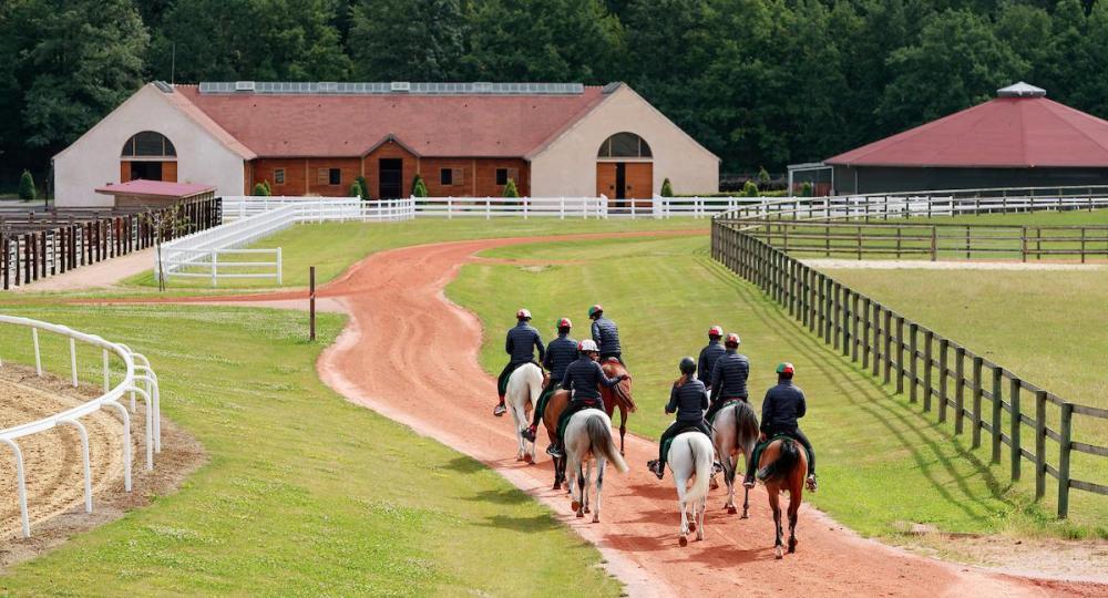 Le Domaine de Montjay, en Seine-et-Marne, est labellisé EquuRES Bien-être animal et environnement au niveau Engagement !