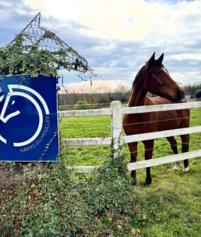 L'écurie Iwanski dressage au Haras du Houlley (Calvados) obtient la labellisation EquuRES à l'échelon Engagement !