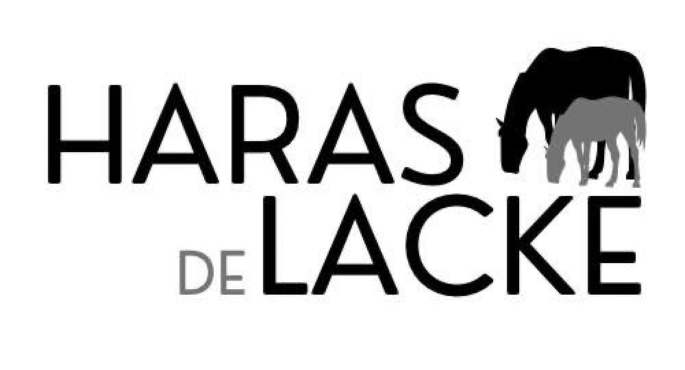 Le Haras de Lacke, dans le Calvados, est labellisé EquuRES à l'échelon Engagement !