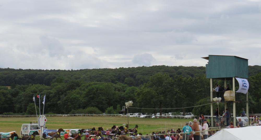 L'hippodrome de Guer, en Bretagne, s'engage pour l'environnement et le bien-être animal