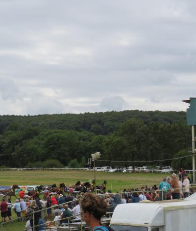 L'hippodrome de Guer, en Bretagne, s'engage pour l'environnement et le bien-être animal