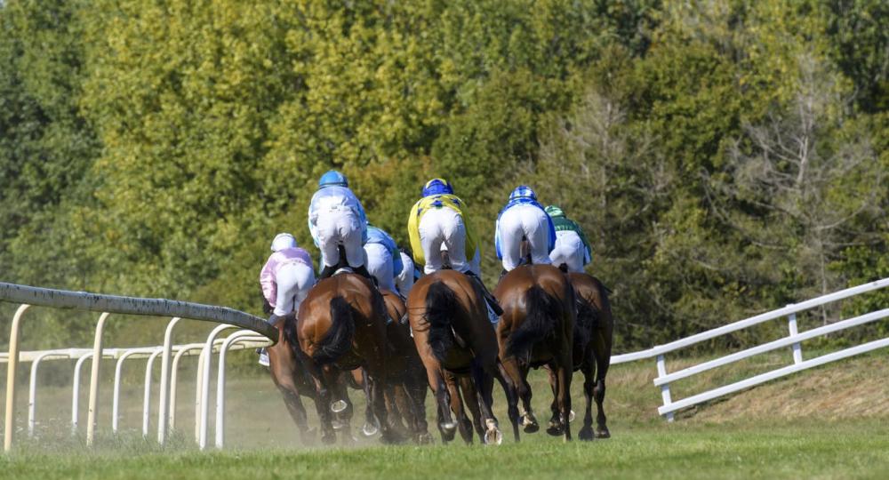 L'hippodrome de Mauron, situé dans le Morbihan, renouvelle son engagement en faveur de l'environnement et du bien-être animal