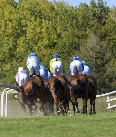 L'hippodrome de Mauron, situé dans le Morbihan, renouvelle son engagement en faveur de l'environnement et du bien-être animal