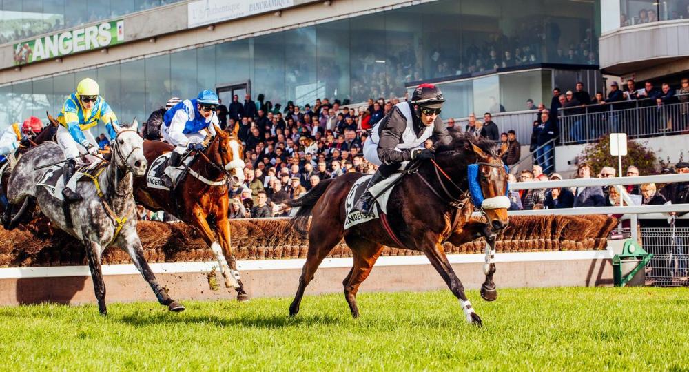 L'hippodrome d'Angers est labellisé EquuRES