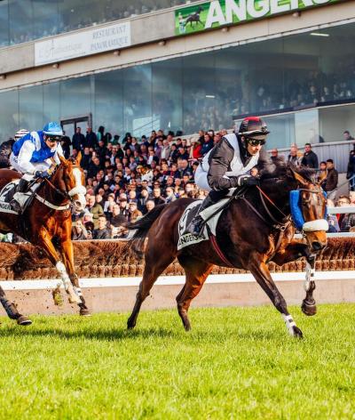 L'hippodrome d'Angers est labellisé EquuRES