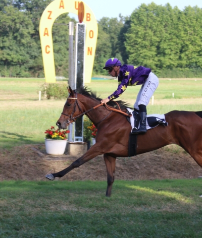 L'hippodrome de Cazaubon, dans le Gers, labellisé EquuRES!